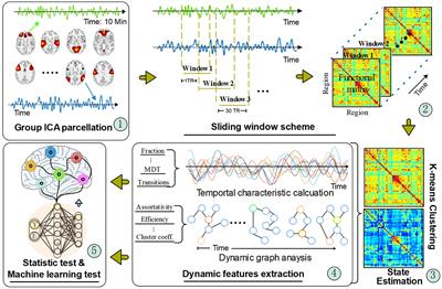 Tracking functional network connectivity dynamics in the elderly